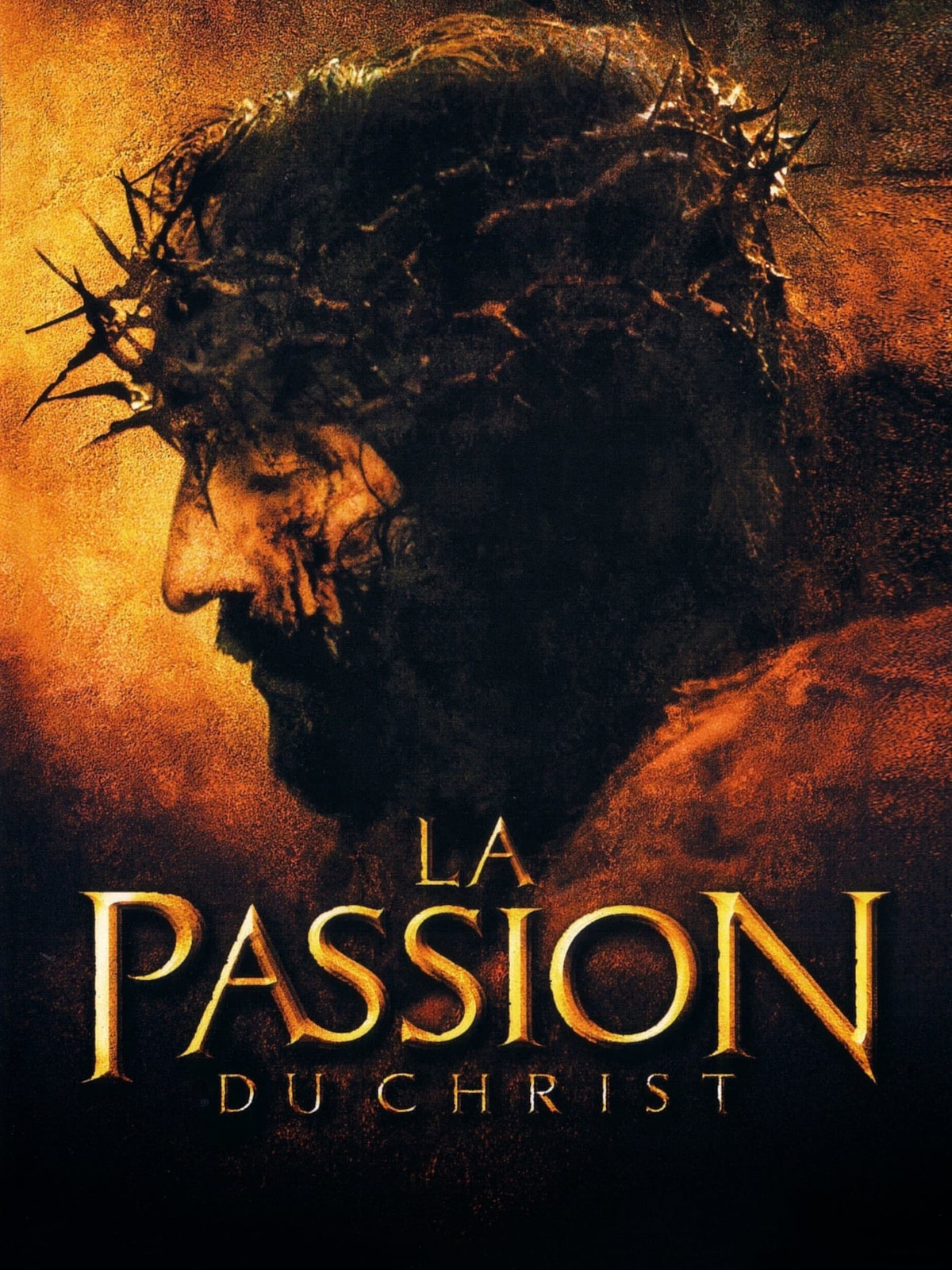  La Passion du Christ 